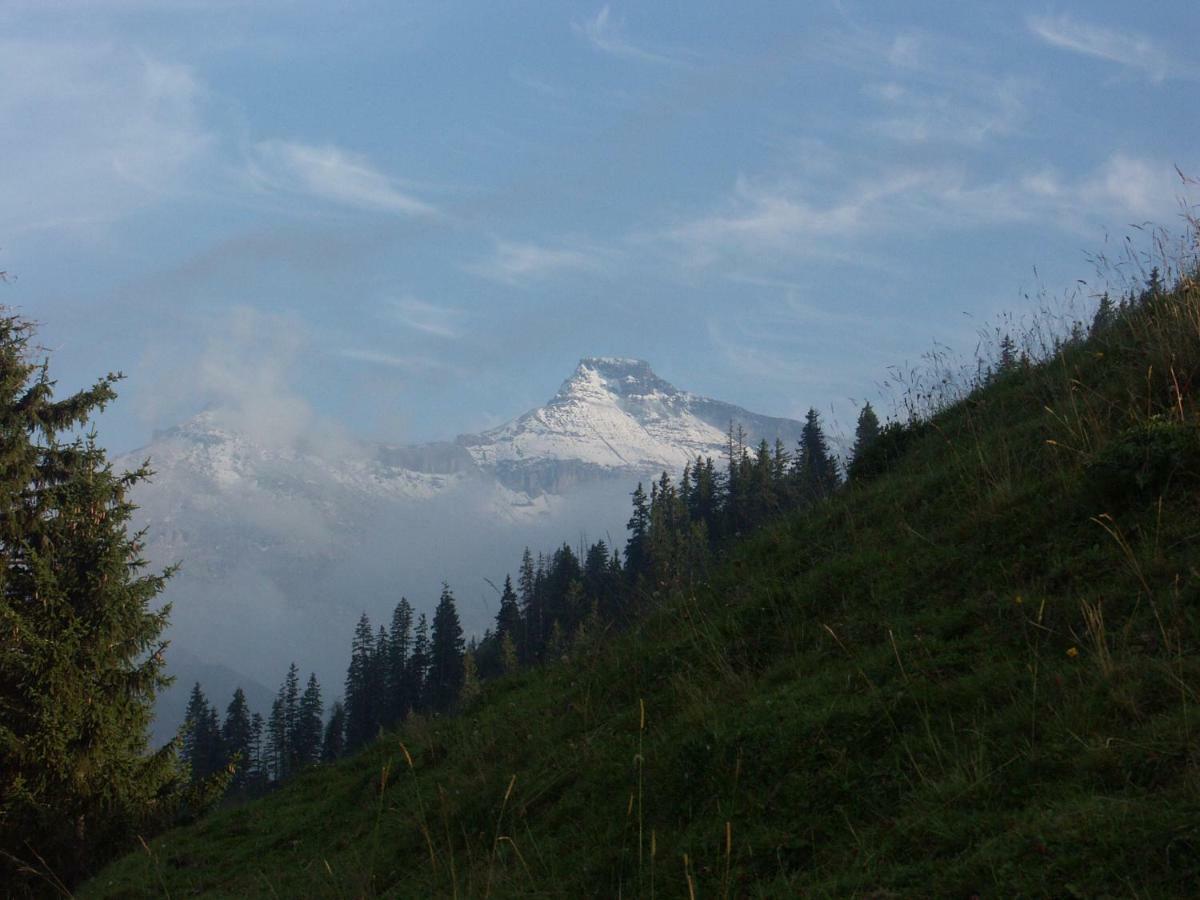 Pension Sonne Adelboden Exteriör bild